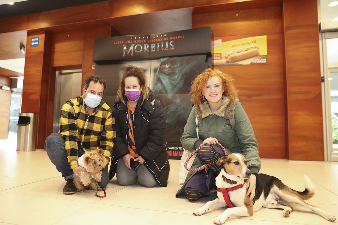 Fotos: El séptimo arte es &#039;dogfriendly&#039; en Gijón