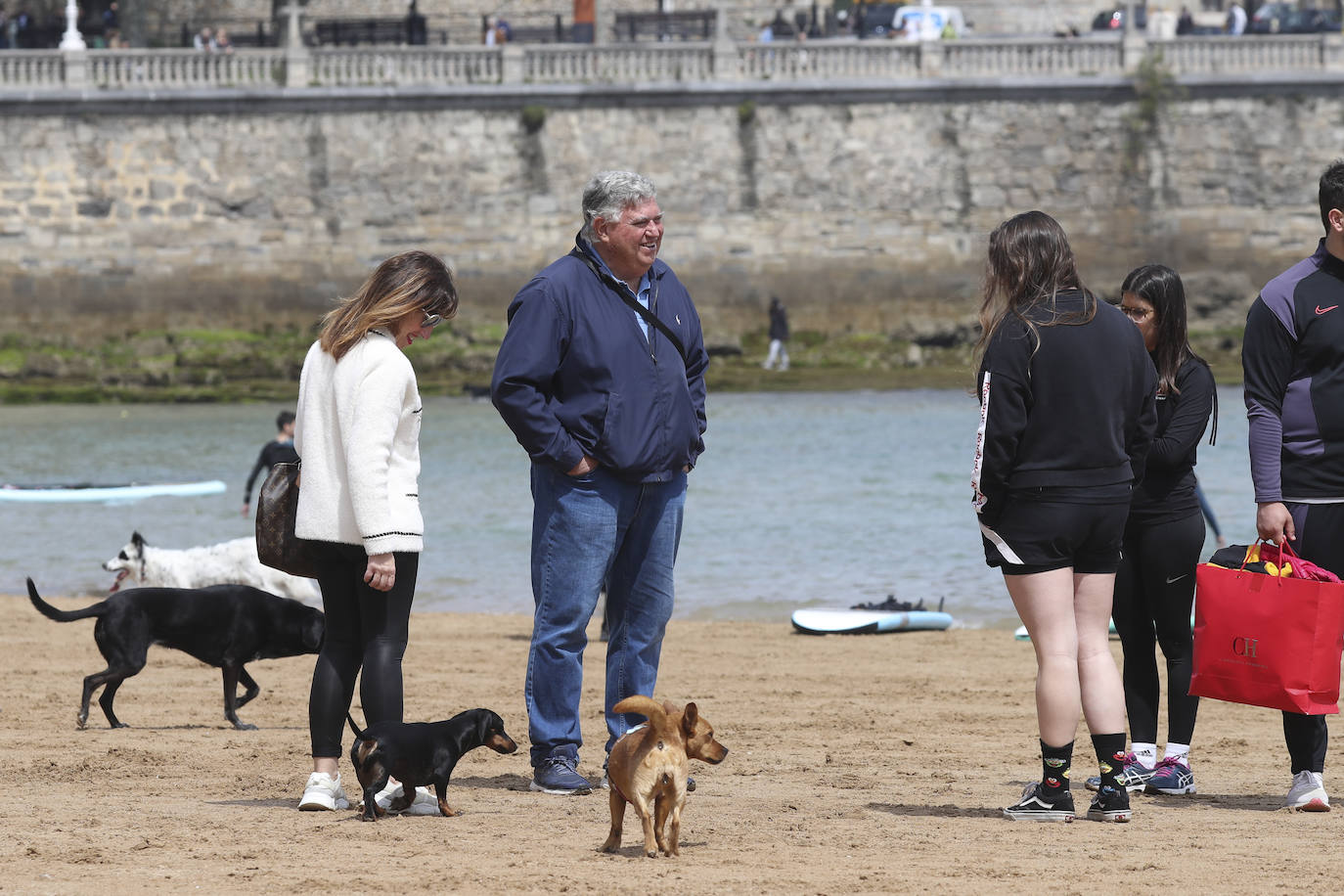 La playa gijonesa de San Lorenzo se ha llenado de perros este sábado, último día antes del inicio de la temporada de baños, periodo en el que los canes no pueden acceder al arenal. 