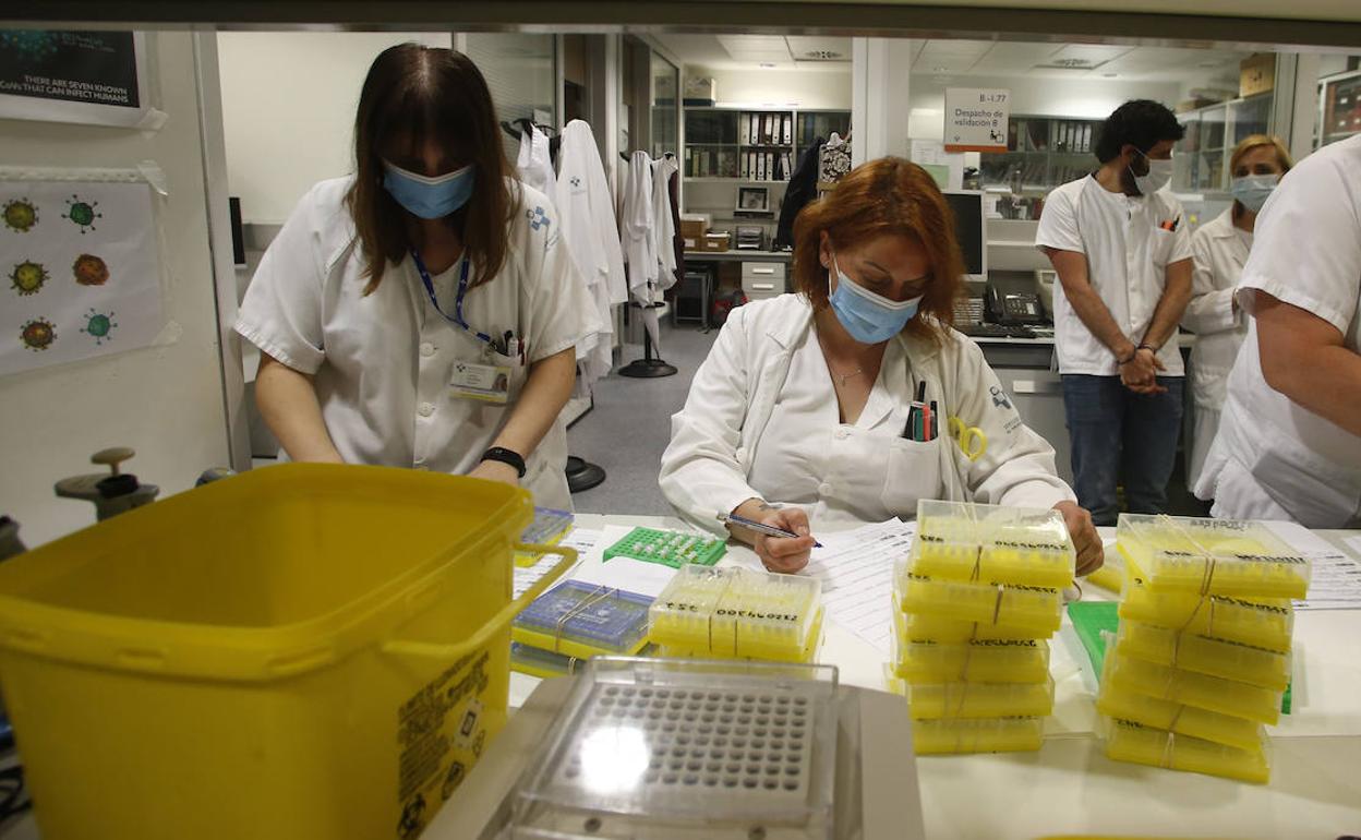 Laboratorio de Microbiología del HUCA. 