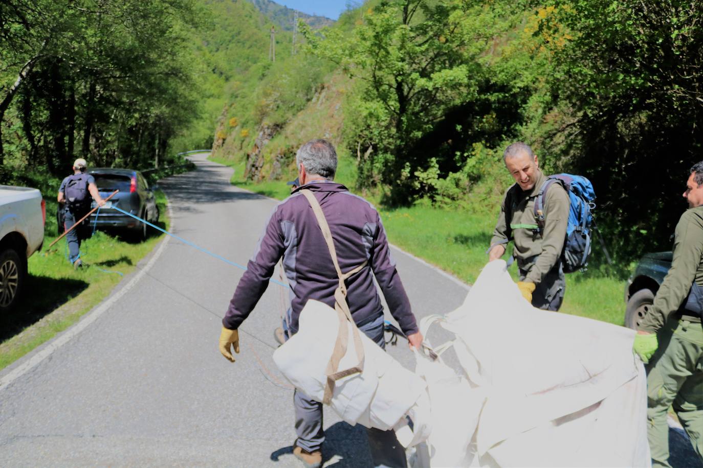 Agentes de la consejería de Medio Rura recogen al ejemplar de oso pardo fallecido. 