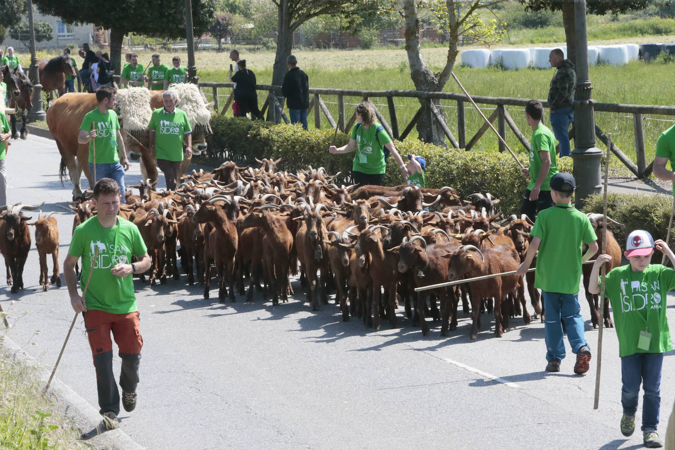 La feria ganadera se vivió este sábado con gran expectación y participación en una edición que devuelve a Llanera su identidad, tras el parón de su tradicional fiesta de San Isidro por la pandemia.