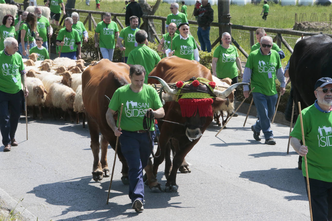 La feria ganadera se vivió este sábado con gran expectación y participación en una edición que devuelve a Llanera su identidad, tras el parón de su tradicional fiesta de San Isidro por la pandemia.