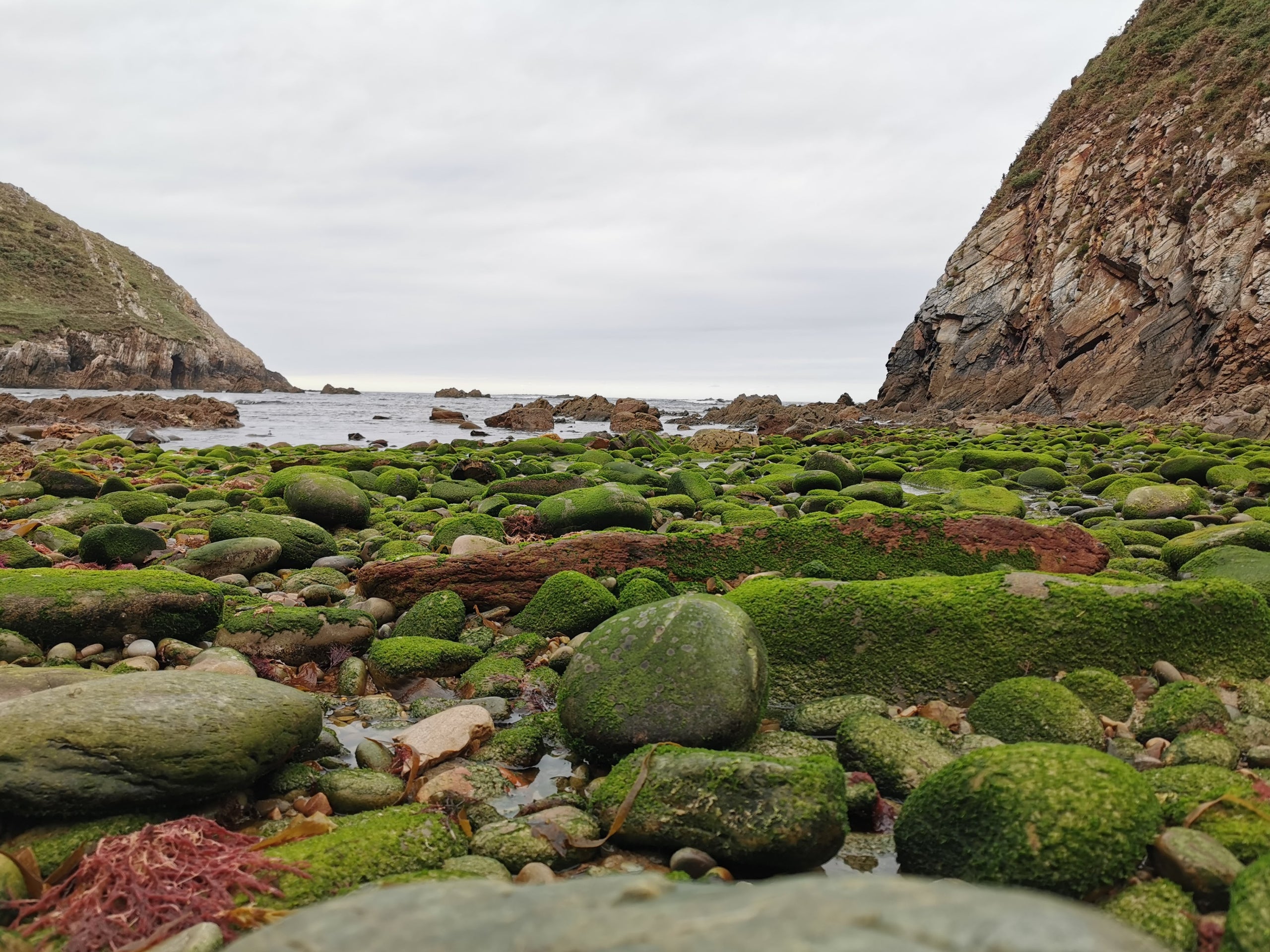 Cala Saliencia, en Cudillero.