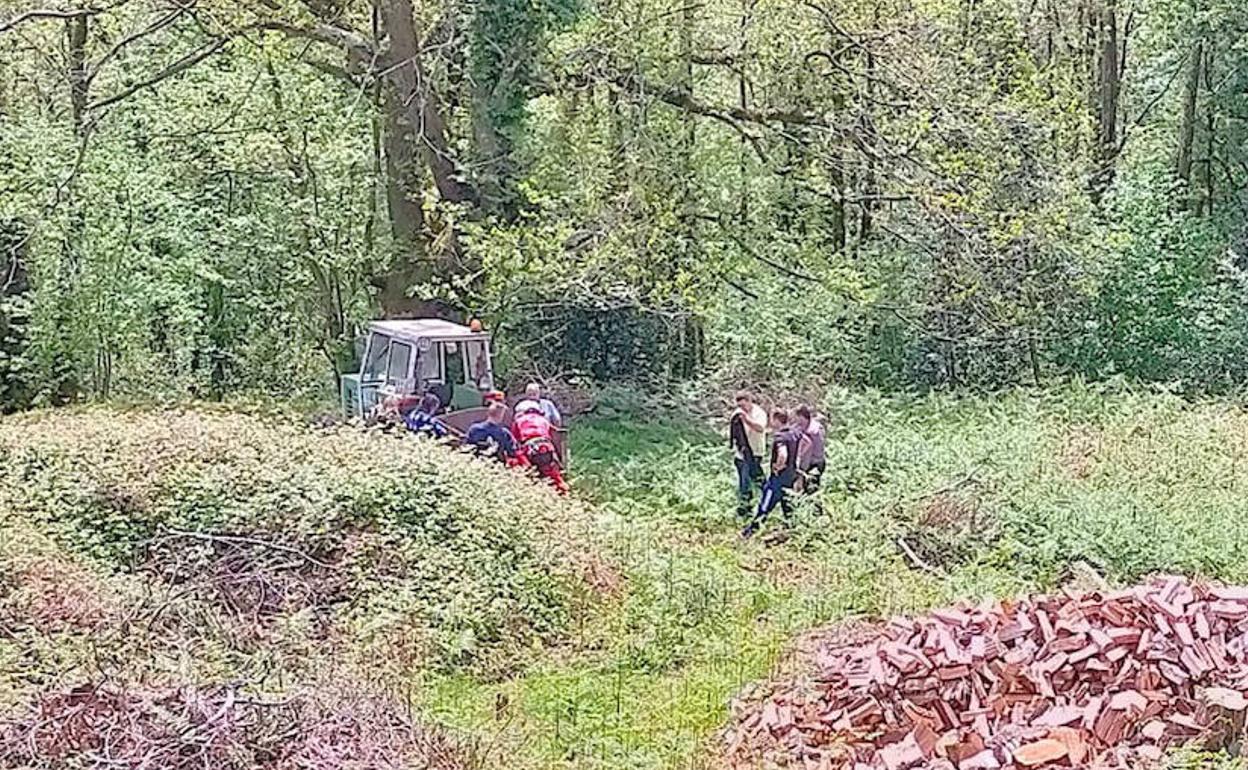 Herido tras caerle un árbol mientras cortaba leña en una pista en Nava