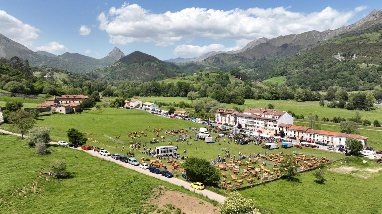 Vista de la gran finca de San Román, en Panes, donde ayer se celebró la feria de ganado de San Isidro con más de medio millar de reses. 