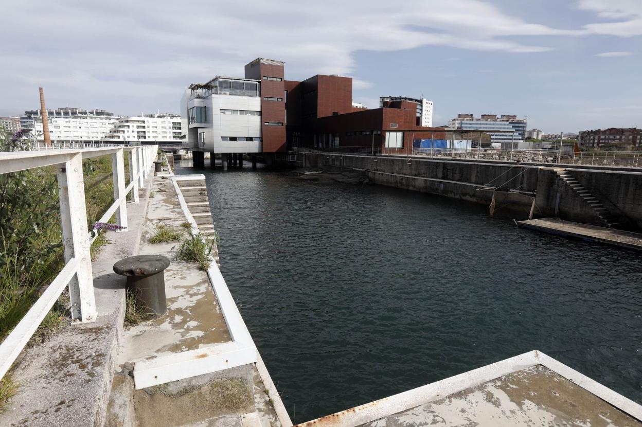 Dársena en la que se construirá el nuevo oceanario. 