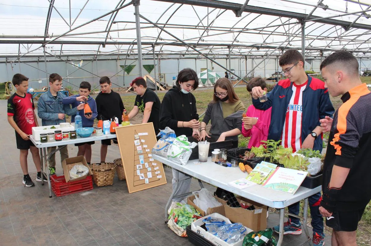 Los alumnos del IES de Luces mostraron ayer lo aprendido en su trabajo en los huertos ecológicos. 