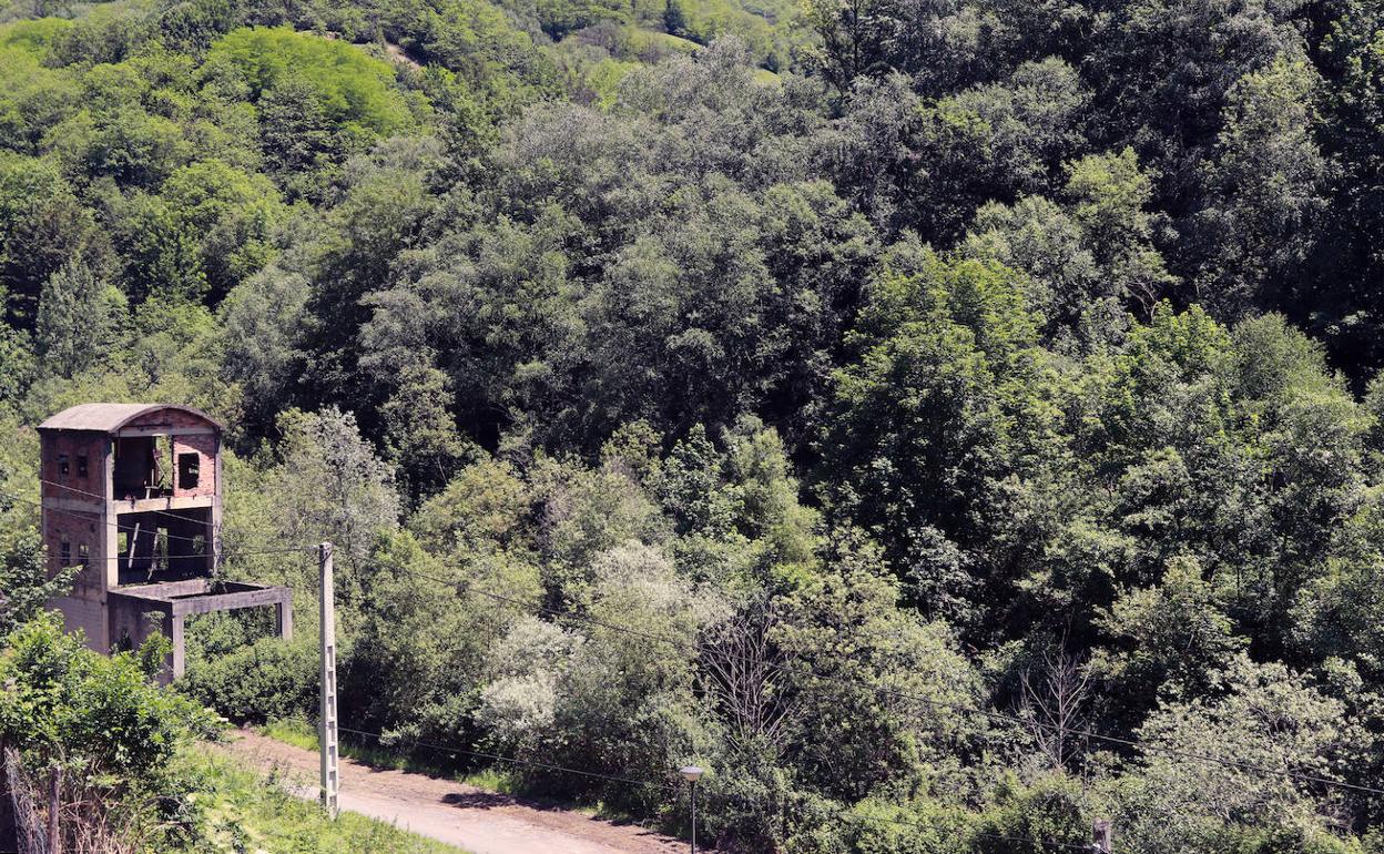Aparece cerca de Rioturbio, en Mieres, un saco con huesos humanos