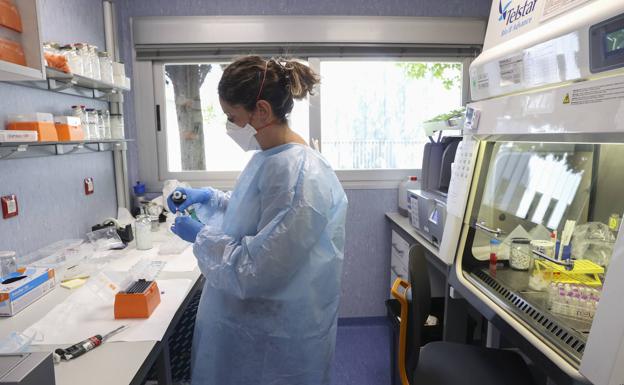 Una investigadora en el laboratorio de arbovirus y enfermedades víricas importantes del Centro Nacional de Microbiología.