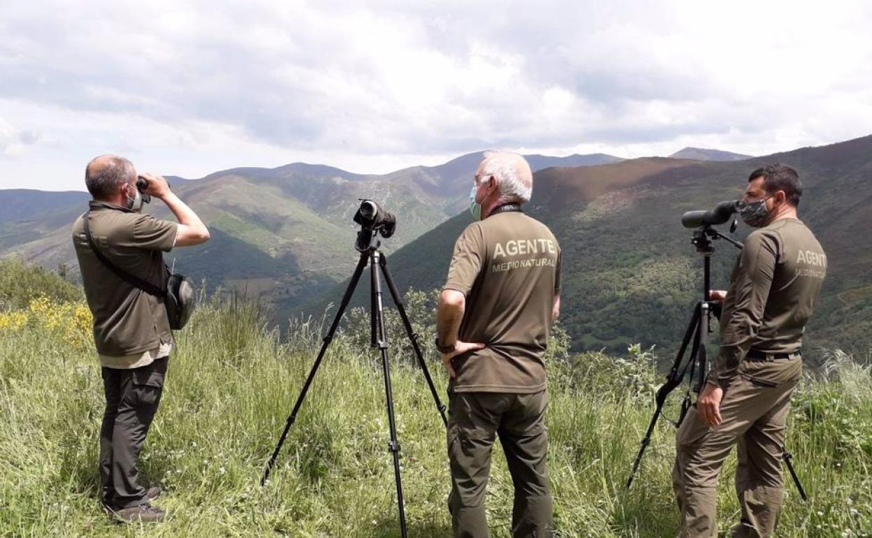 Dispositivo de vigilancia.