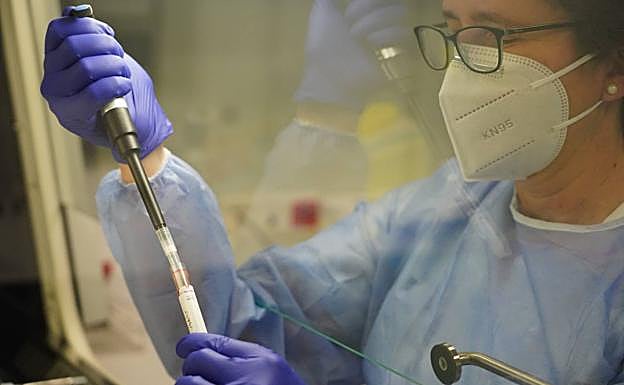 Un ensayo clínico arroja luz sobre el cáncer de colon. 