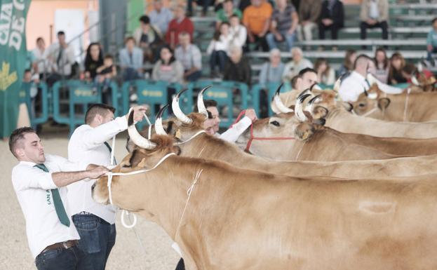 Un momento de la feria de San Antonio de Gijón de la última edición.