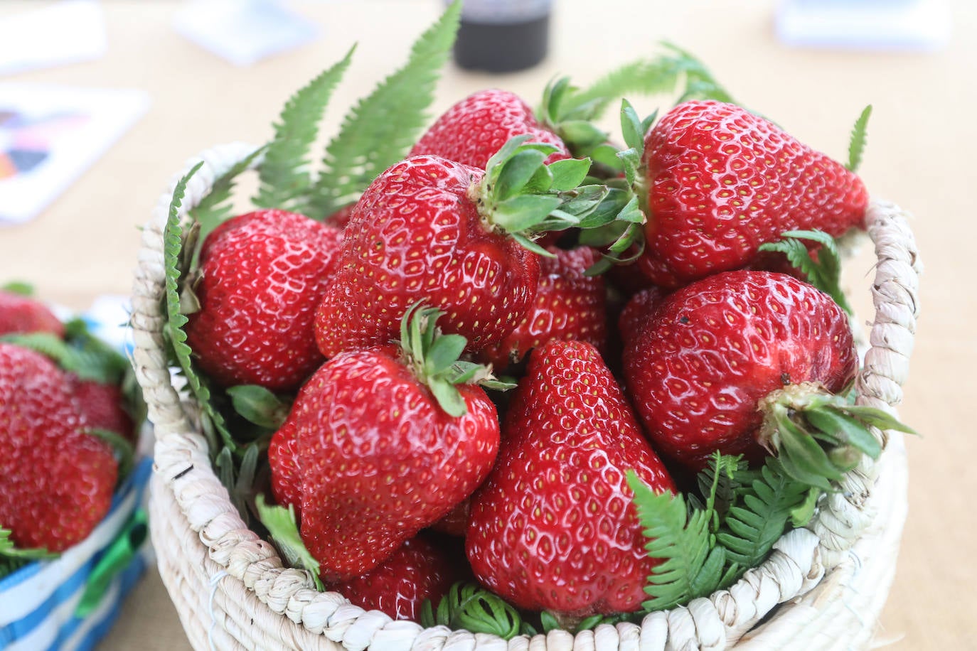 El Festival de la Fresa de Candamo alcanza su 43 edición. Pese al mal tiempo, en el certamen participaron 16 productores y hasta se presentó una variedad autóctona, rescatada del olvido tras varias décadas sin producción. 