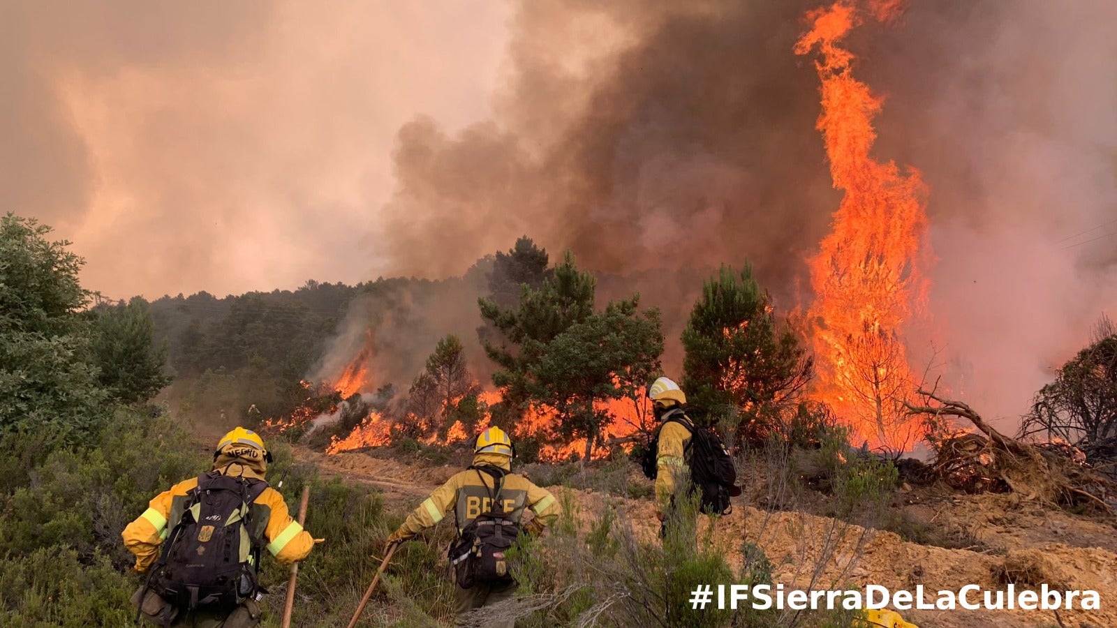 El incendio de Zamora ha quemado cerca de 11.000 hectáreas de superficie, fundamentalmente de matorral y pinar