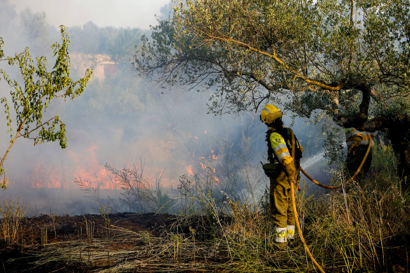 Medios aéreos y terrestres trabajan para combatir el incendio declarado este viernes en Viver y que se extendió al municipio de Caudiel (Castellón)