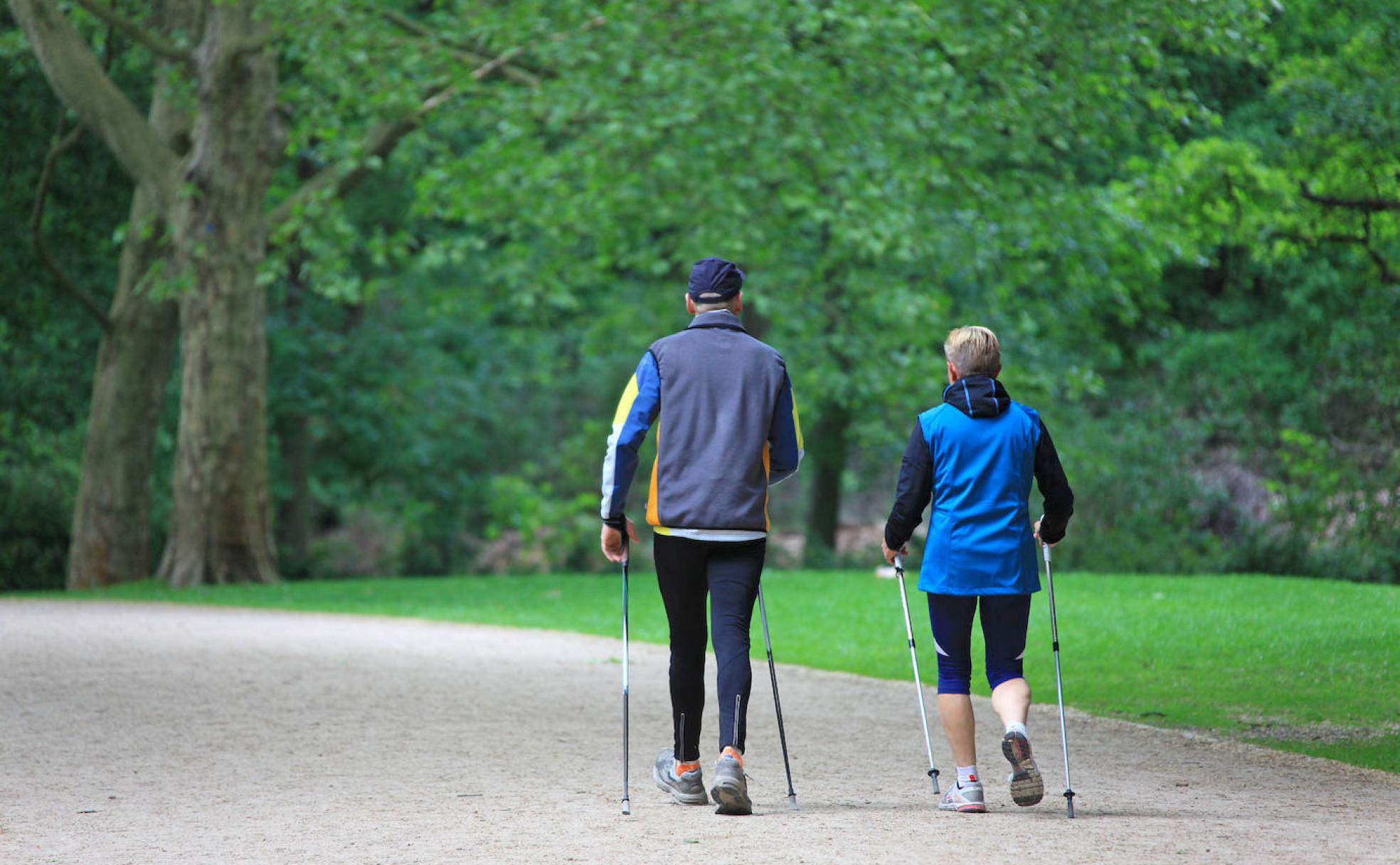El corazón y el cerebro neceistan que se haga ejercicio físico