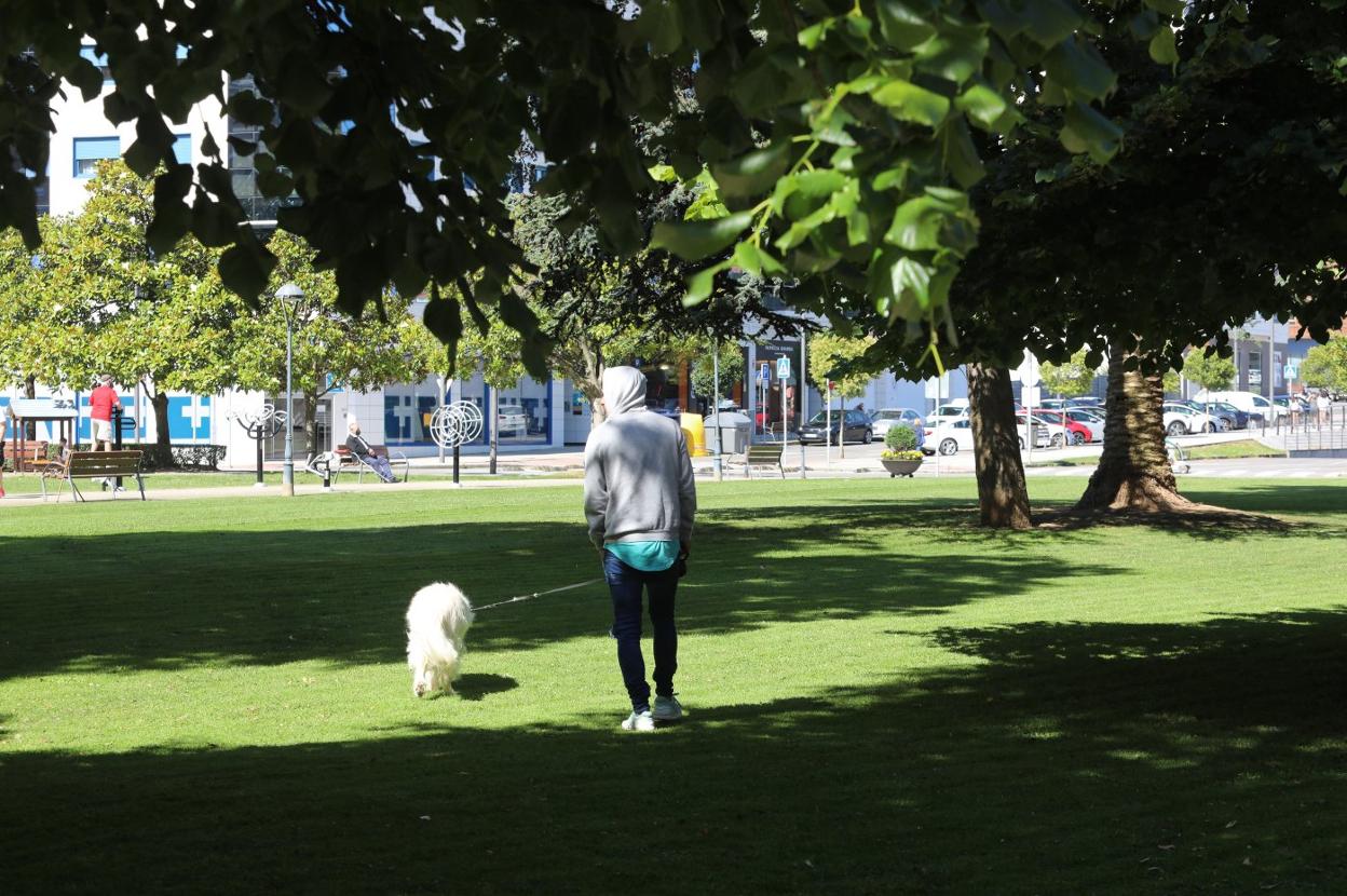 Un joven con su perro en el parque de Las Meanas. 
