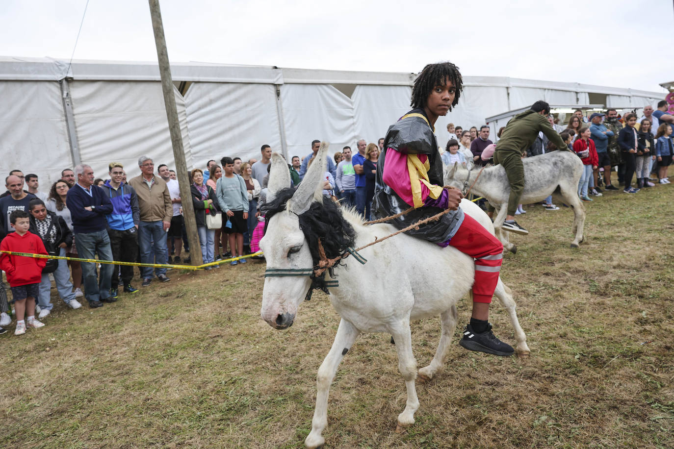Con motivo de las fiestas de San Cristóbal Collao recuperó este lunes a partir de las ocho de la tarde su tradicional carrera de burros (con y sin disfraces). Se trata de una cita que ya suscitó cierta polémica en el pasado debido a las quejas de los colectivos animalistas, aunque la organización demostró tener todos los papeles en regla y la diversión ha continuado hasta la pandemia sin impedimento