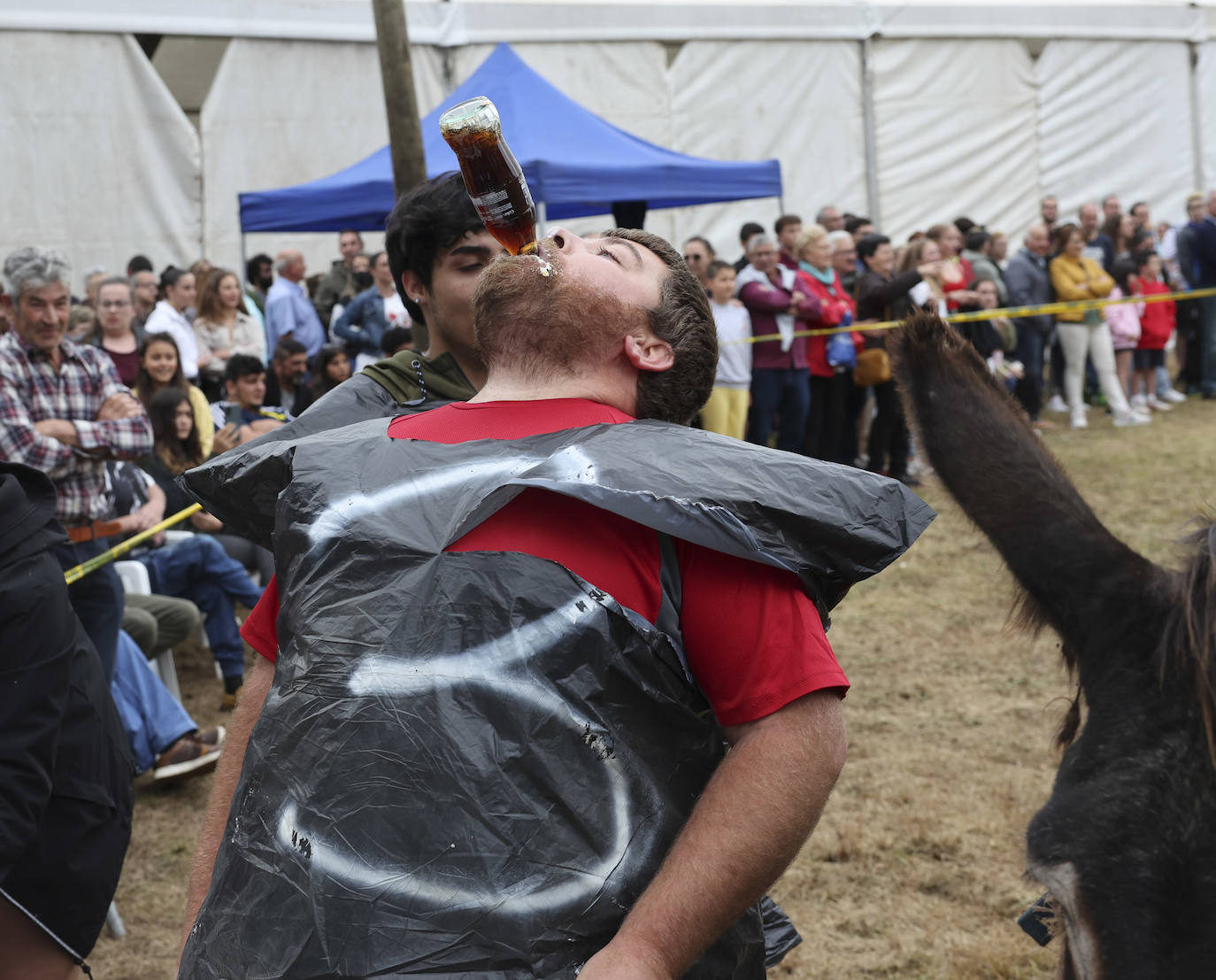 Con motivo de las fiestas de San Cristóbal Collao recuperó este lunes a partir de las ocho de la tarde su tradicional carrera de burros (con y sin disfraces). Se trata de una cita que ya suscitó cierta polémica en el pasado debido a las quejas de los colectivos animalistas, aunque la organización demostró tener todos los papeles en regla y la diversión ha continuado hasta la pandemia sin impedimento