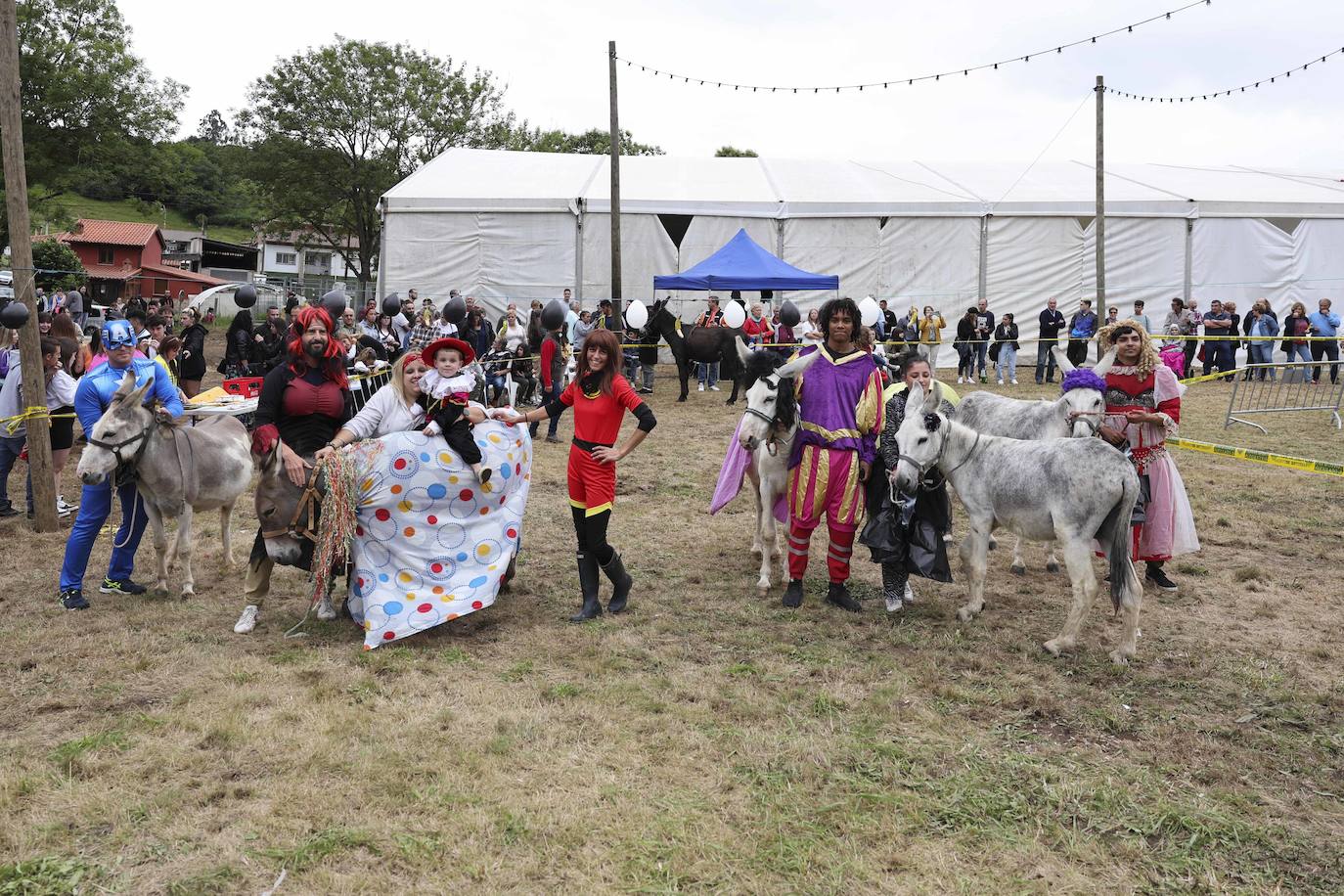 Con motivo de las fiestas de San Cristóbal Collao recuperó este lunes a partir de las ocho de la tarde su tradicional carrera de burros (con y sin disfraces). Se trata de una cita que ya suscitó cierta polémica en el pasado debido a las quejas de los colectivos animalistas, aunque la organización demostró tener todos los papeles en regla y la diversión ha continuado hasta la pandemia sin impedimento