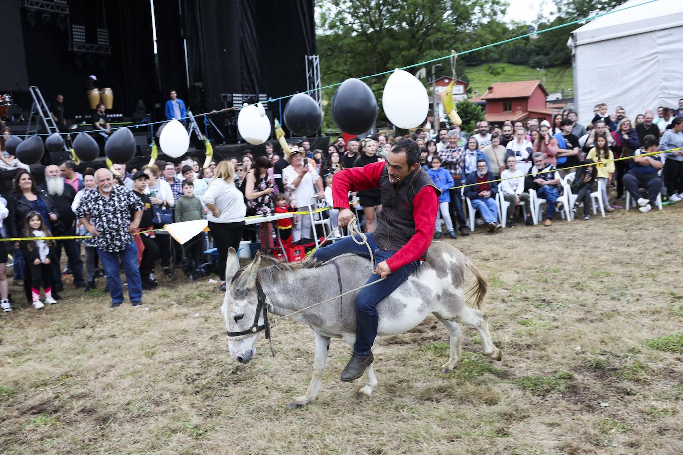 Con motivo de las fiestas de San Cristóbal Collao recuperó este lunes a partir de las ocho de la tarde su tradicional carrera de burros (con y sin disfraces). Se trata de una cita que ya suscitó cierta polémica en el pasado debido a las quejas de los colectivos animalistas, aunque la organización demostró tener todos los papeles en regla y la diversión ha continuado hasta la pandemia sin impedimento