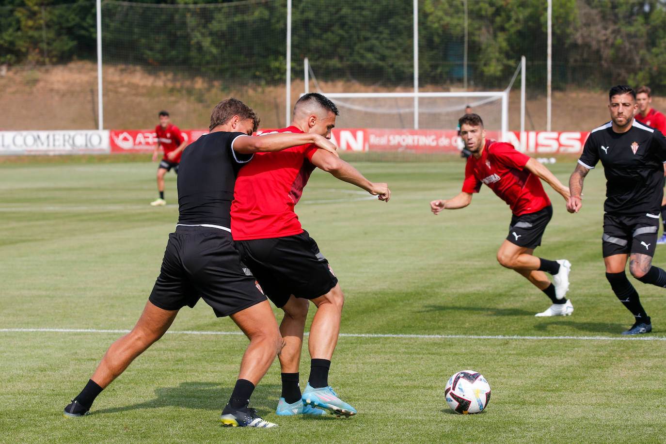 Fotos del Sporting: Partidillo de entrenamiento con mucha expectación