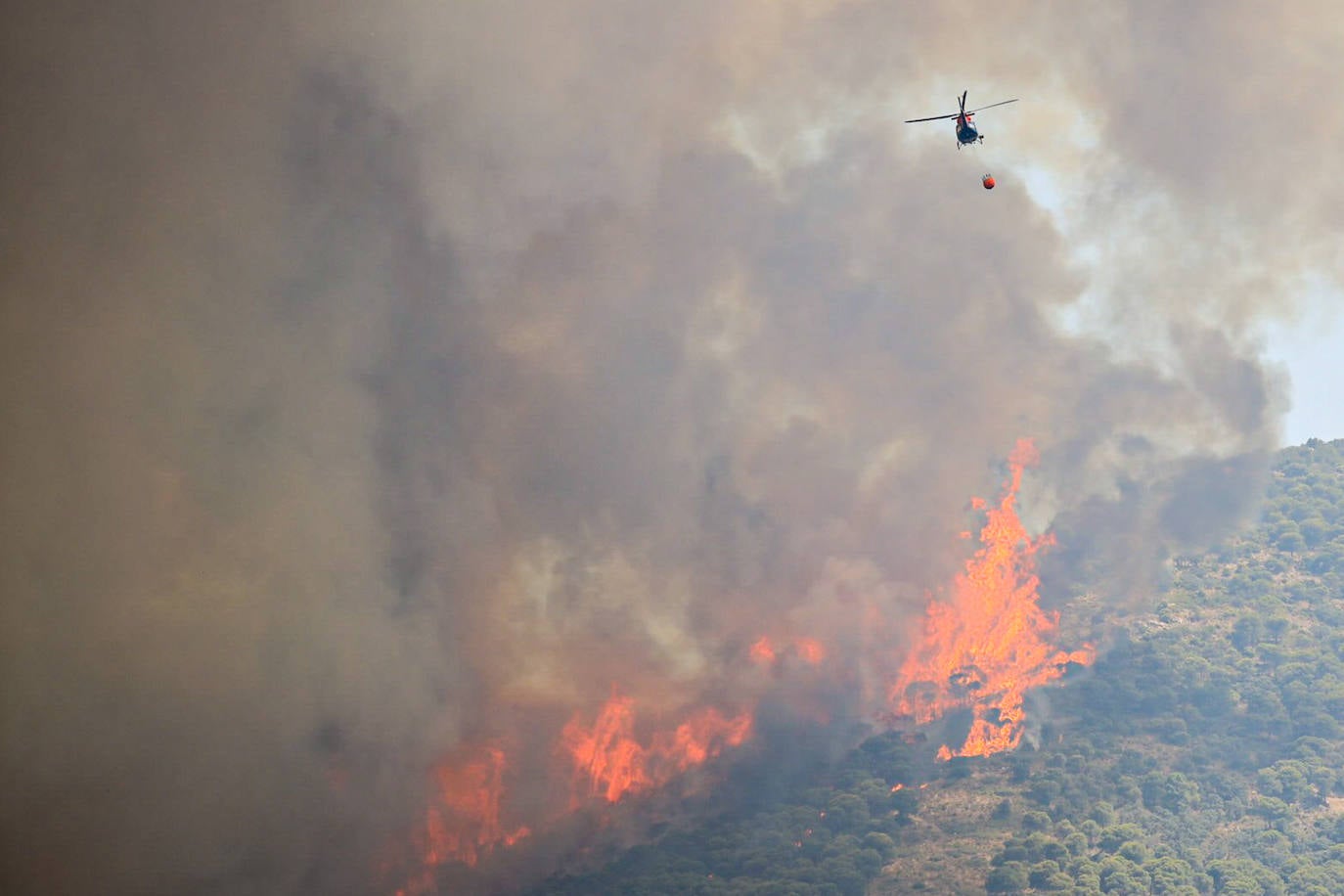 Málaga. La situación también es crítica en esta provincia, donde ya se superan las 3.000 personas evacuadas. El fuego no ha dado tregua a los efectivos forestales en la Sierra de Mijas ya que las condiciones para las tareas de extinción son extremadamente difíciles dada la orografía, las condiciones climatológicas y la superficie repleta de pinares. Todos estos factores provocaron que este viernes las llamas se propagaran hasta los 50 metros por minuto.