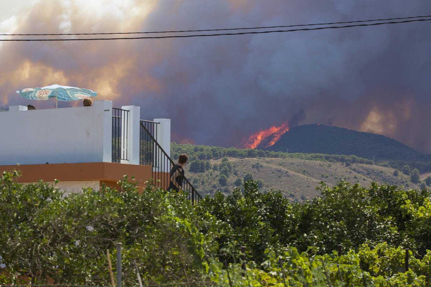 Málaga. La situación también es crítica en esta provincia, donde ya se superan las 3.000 personas evacuadas. El fuego no ha dado tregua a los efectivos forestales en la Sierra de Mijas ya que las condiciones para las tareas de extinción son extremadamente difíciles dada la orografía, las condiciones climatológicas y la superficie repleta de pinares. Todos estos factores provocaron que este viernes las llamas se propagaran hasta los 50 metros por minuto. 