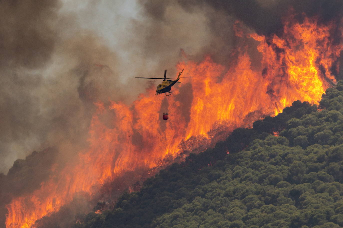 Málaga. La situación también es crítica en esta provincia, donde ya se superan las 3.000 personas evacuadas. El fuego no ha dado tregua a los efectivos forestales en la Sierra de Mijas ya que las condiciones para las tareas de extinción son extremadamente difíciles dada la orografía, las condiciones climatológicas y la superficie repleta de pinares. Todos estos factores provocaron que este viernes las llamas se propagaran hasta los 50 metros por minuto.