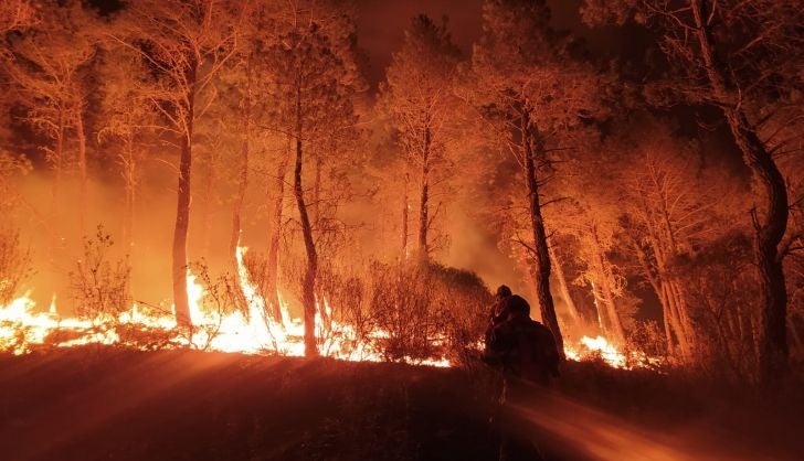 Las llamas han vuelto a castigar a la Sierra de la Culebra, en Zamora, donde el pasado mes de junio se calcinaron más de 30.000 hectáreas en el que fue el peor incendio forestal de la historia en Castilla y León y uno de los más graves de España. La provincia registra este fin de semana dos fuegos, uno en Figueruela de Arriba y otro en Roelos de Sayago. El primero de ellos obligó a desalojar el municipio de Villarino de Manzanas por la proximidad de las llamas. 