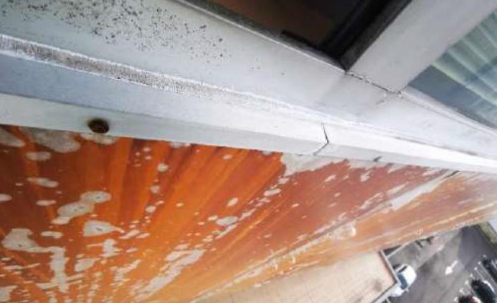 Scroll Story imagen 1