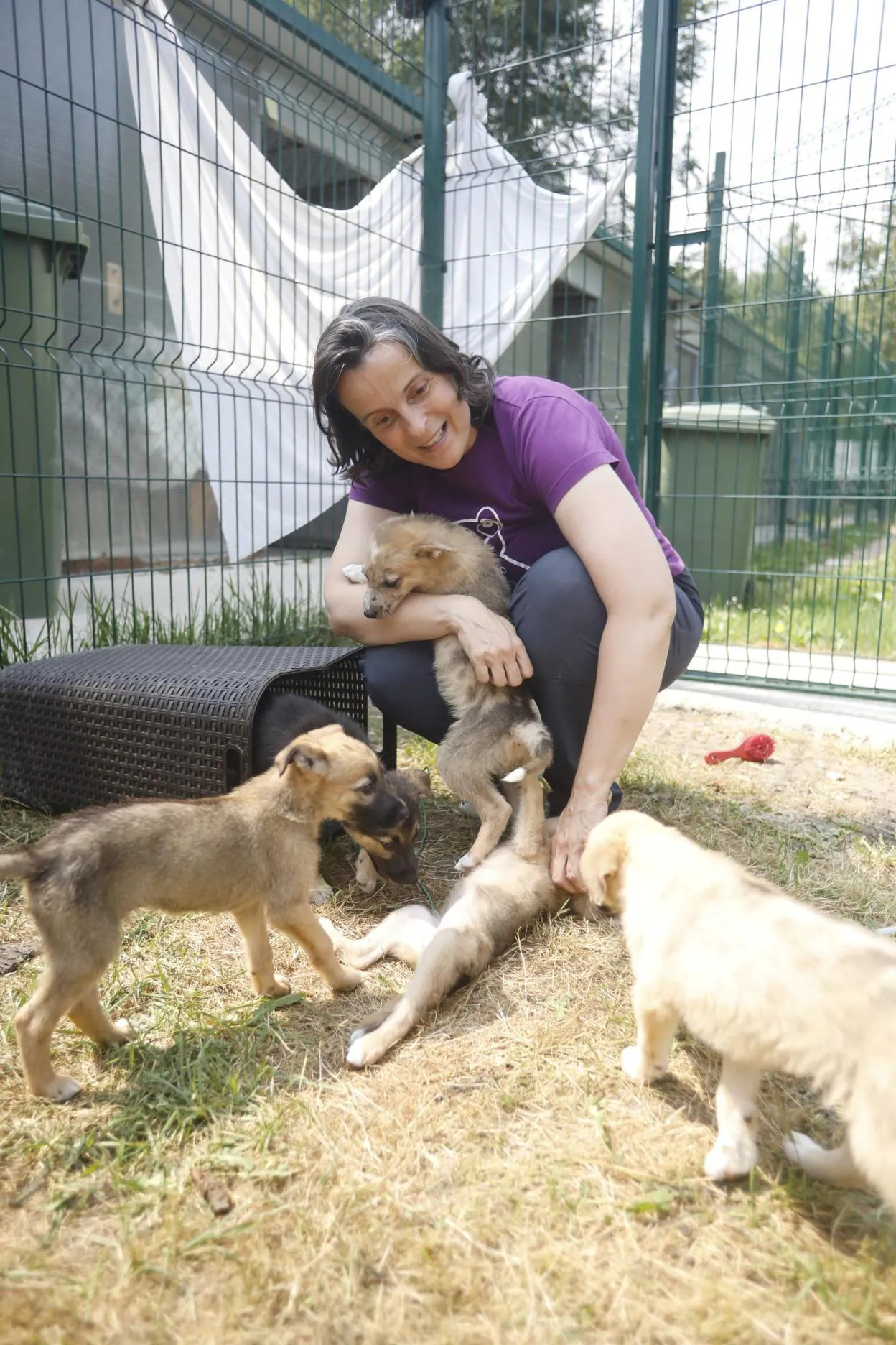 La nueva responsable de la gestión del Albergue, Alejandra Mier, con varios cachorros. 