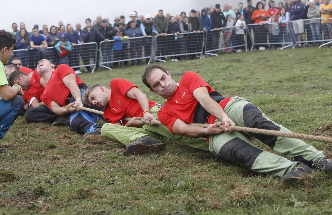 La Fiesta del Pastor venció a la niebla con un programa festivo lleno de actividades tradicionales como respaldo a la labor de los ganaderos de los Picos de Europa. Los Lagos de Covadonga volvieron a reunir a cientos de personas que asistieron a la tradicional subida a la Porra de Enol. En la carrera se impusieron Manuel Merillas y Verónica Gutiérrez. Carreras de caballos, tiro de cuerda y bailes regionales, además de la tradicional misa y la elección del regidor de pastos, que volvió a recaer en Toño García, completaron el programa. Manuel González y Carmina Remis fueron los pastores homenajeados y se estrenó el documental 'El reino de los pastores'.