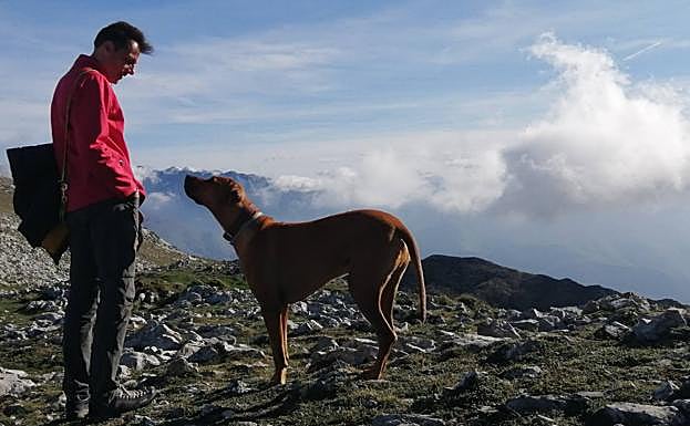 El investigador de la Universidad de Oviedo y del CSIC Vincenzo Penteriani.