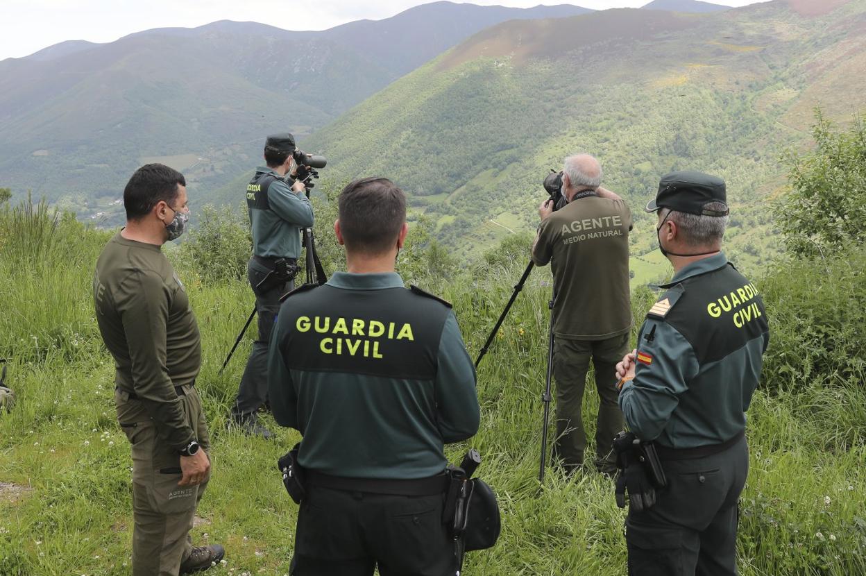 Agentes del Medio Natural y de la Guardia Civil vigilan el valle del río Cibea, donde en mayo de 2021 tuvo lugar el último ataque de un oso a un humano registrado en Asturias. 