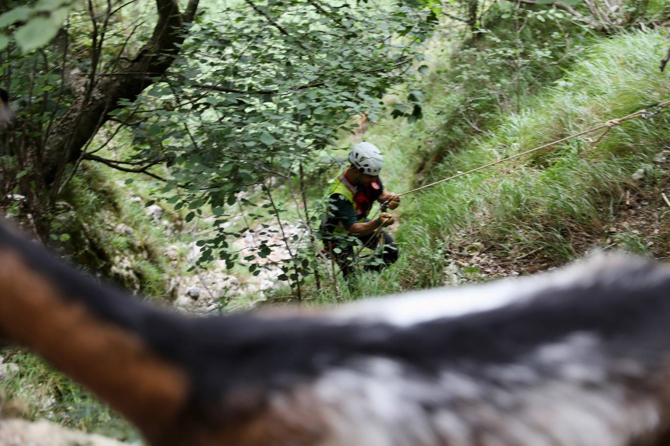 Fotos: Intensa búsqueda de Javier Amigo, el montañero gijonés desaparecido en la canal del Texu