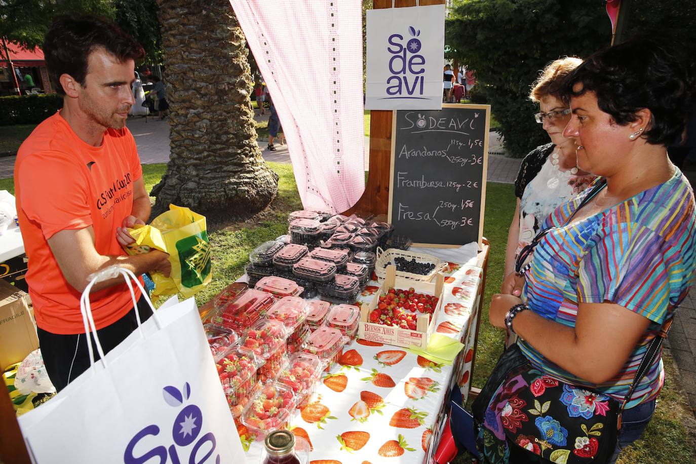 Planes en Asturias | Festival del Arándano y los Frutos Rojos de Villaviciosa 