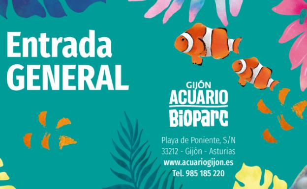 Participa y consigue una de las 10 entradas dobles para el Acuario de Gijón