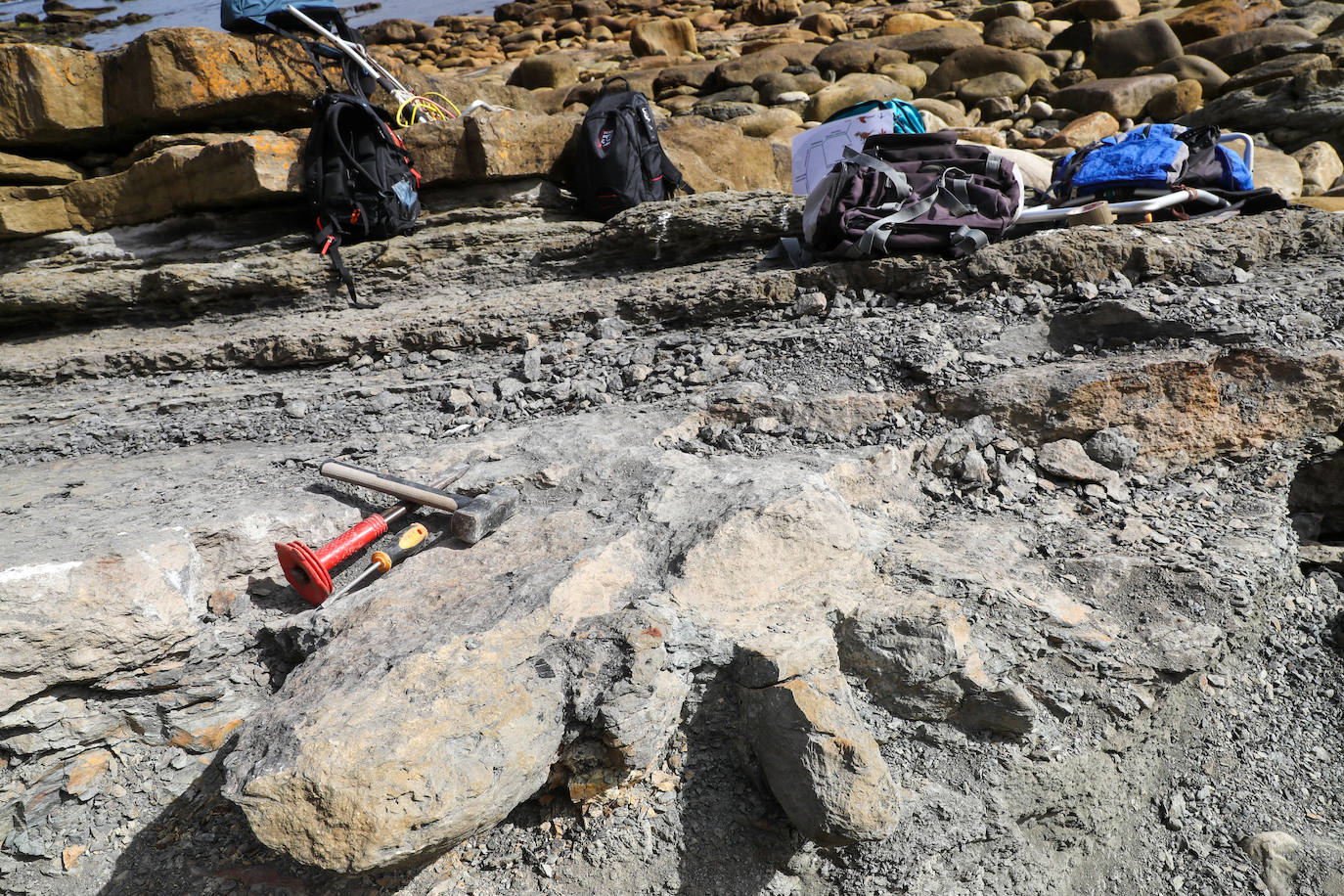 Fotos: Así se recuperan las huellas de dinosaurio en Asturias