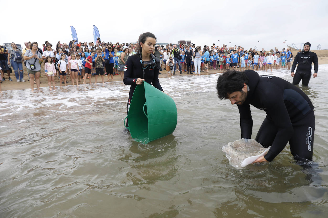 Fotos: Una treintena de rayas liberadas en la playa de poniente