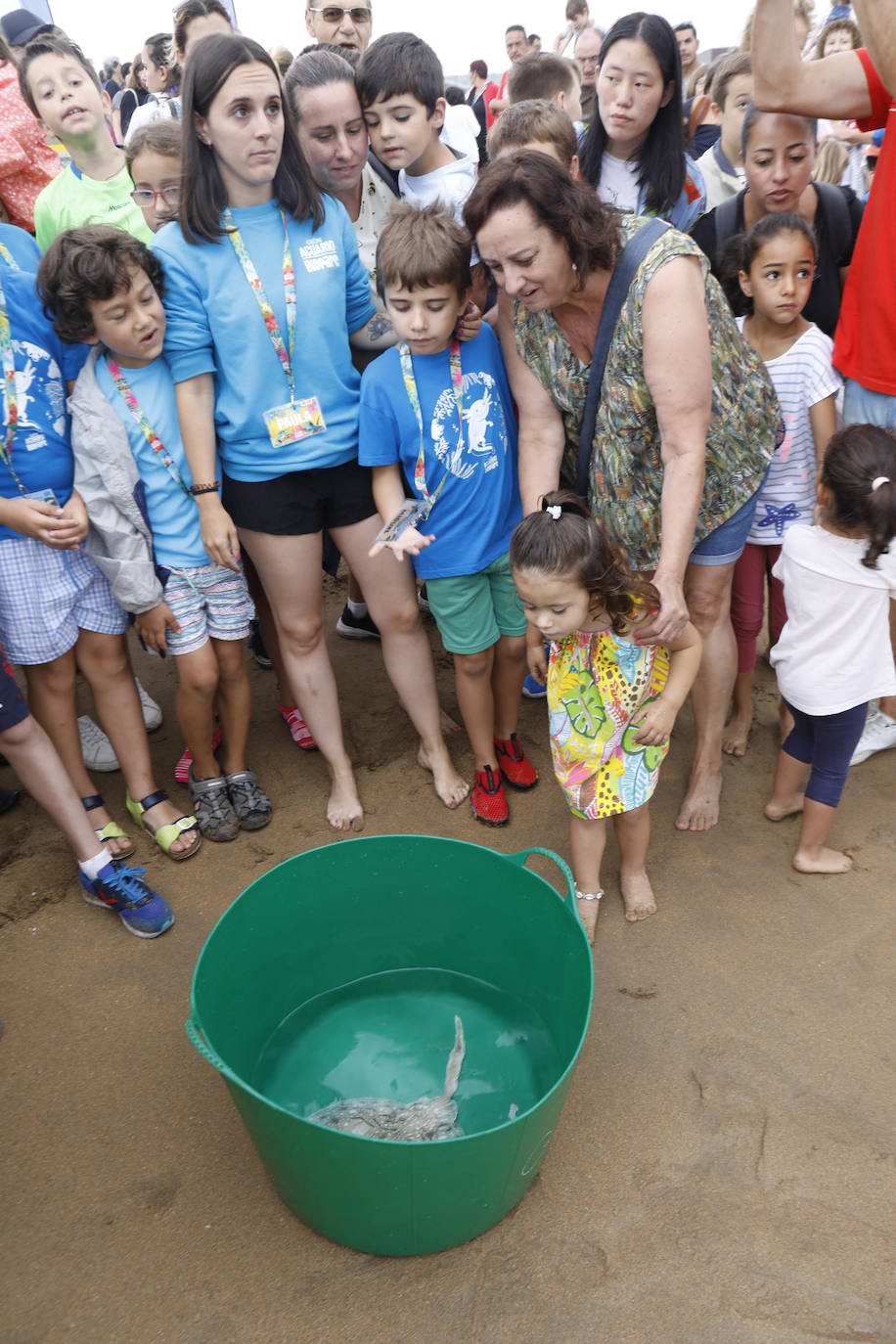 Fotos: Una treintena de rayas liberadas en la playa de poniente