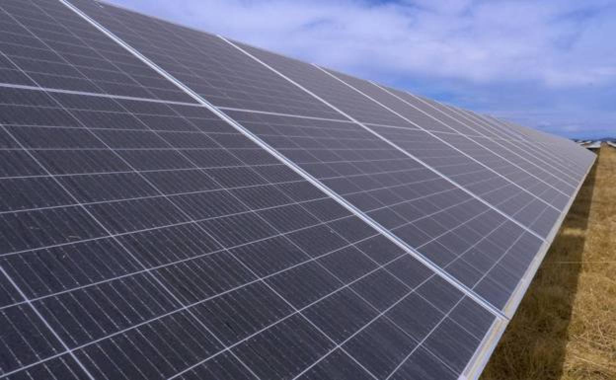 Paneles solares en la fotovoltaica Francisco Pizarro, entre Aldeacentenera y Torrecillas de la Tiesa.