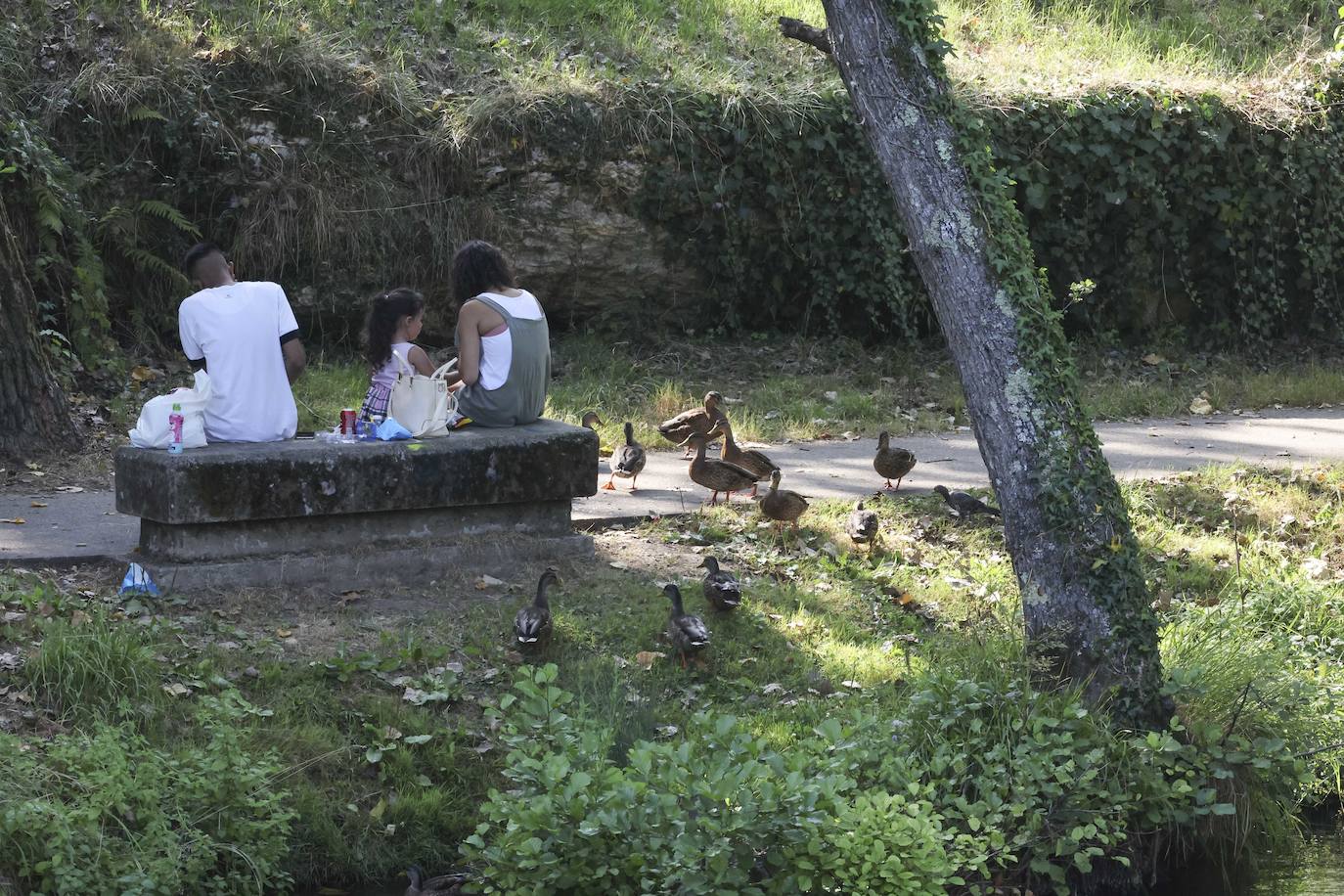 Fotos: Asturias se refresca