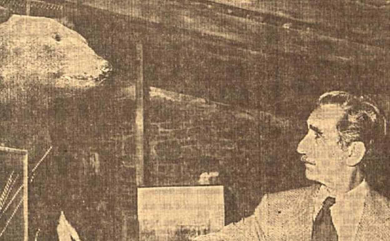 Alfonso, frente al cuerpo disecado de 'Perico', en la Fidma.