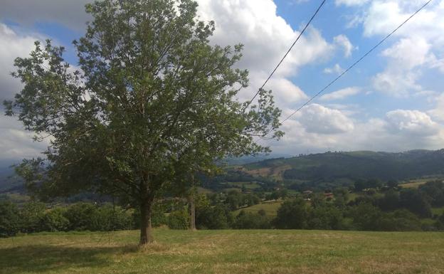 Uno de los magníficos paisajes de la ruta jacobea.