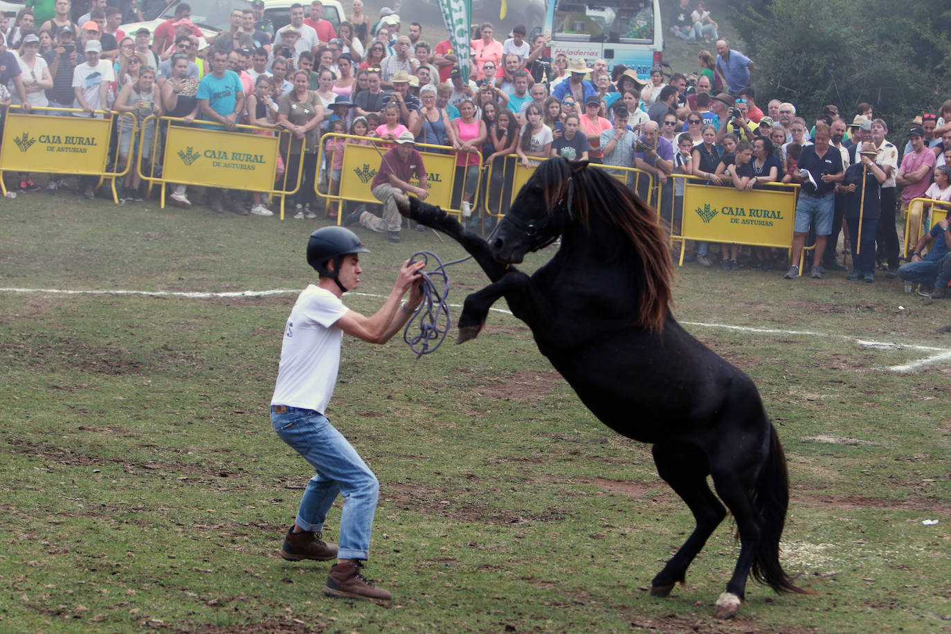 Fotos: La Fiesta del Asturcón recupera a su público