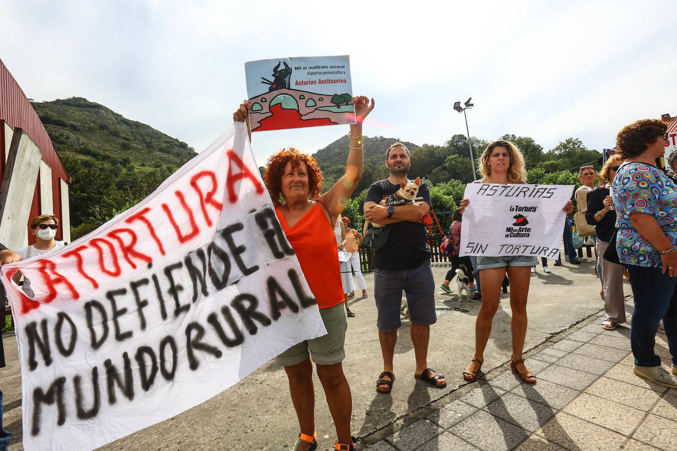 Fotos: Tensión y toros en Benia de Onís