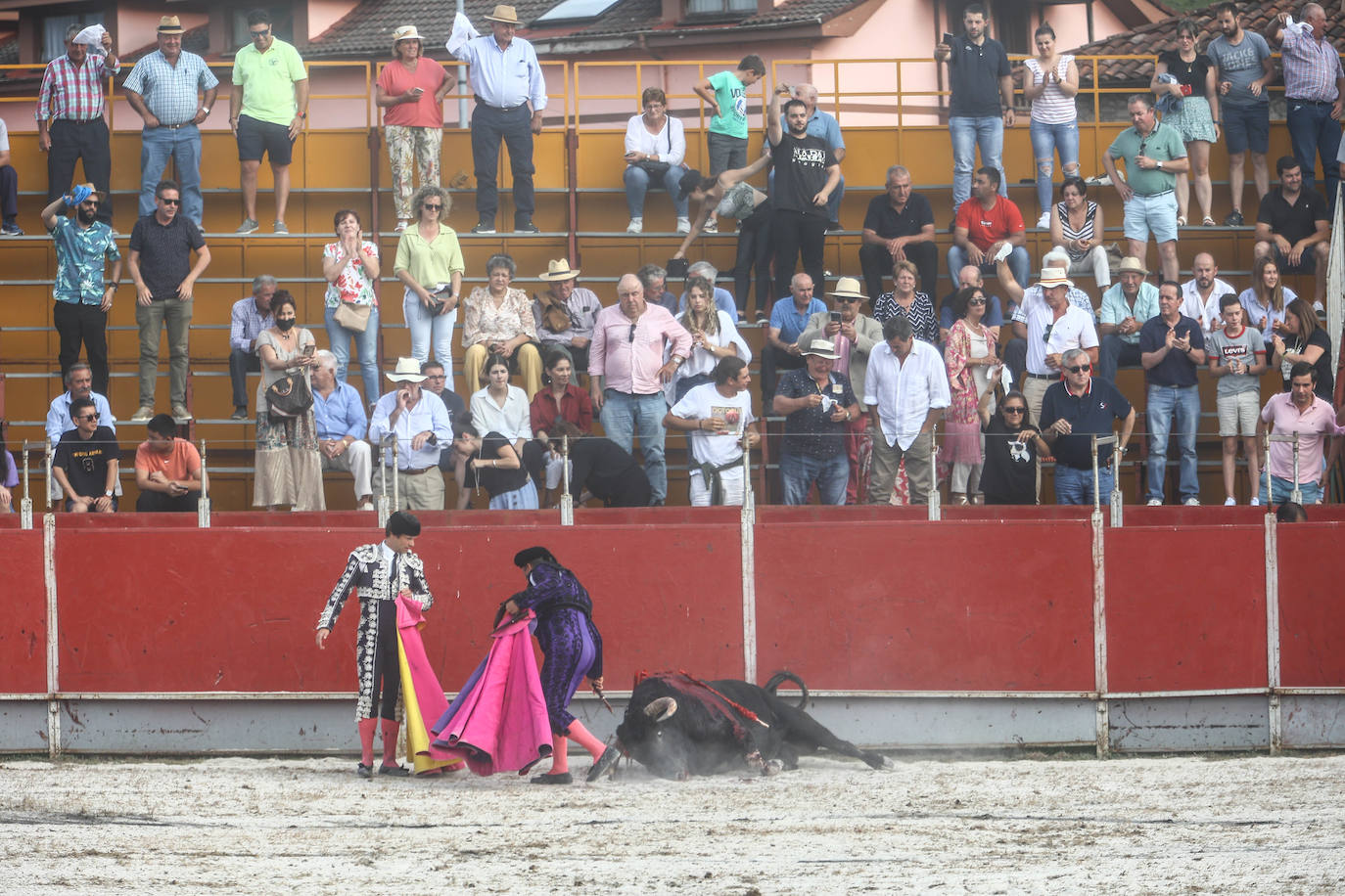 Fotos: Tensión y toros en Benia de Onís