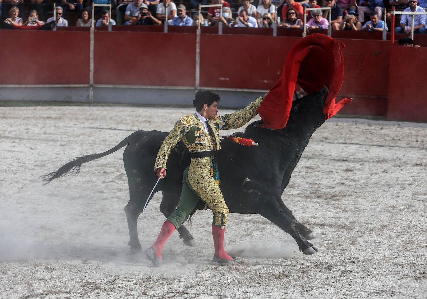 Fotos: Tensión y toros en Benia de Onís