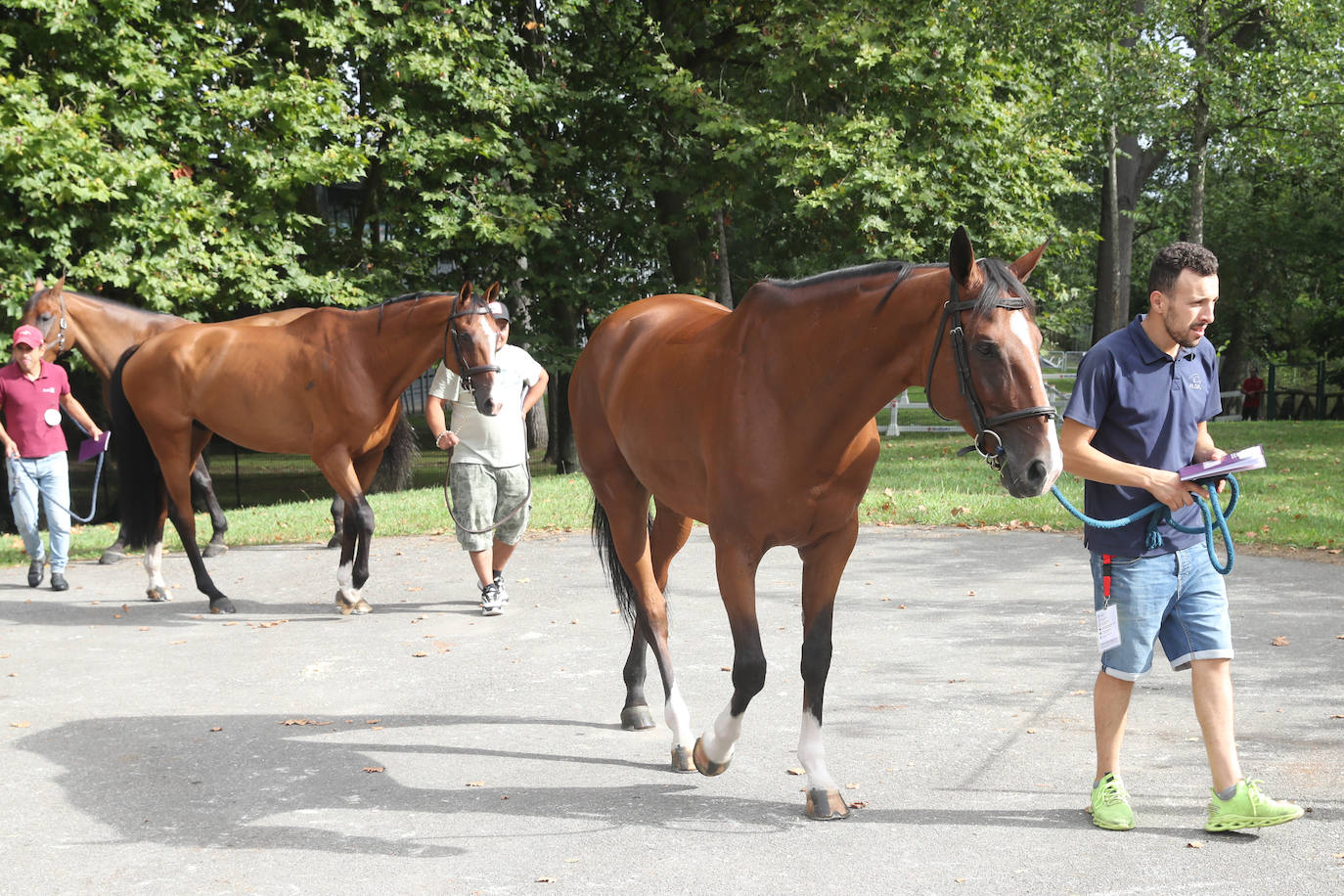 Fotos: El Hípico ya corre por las Mestas